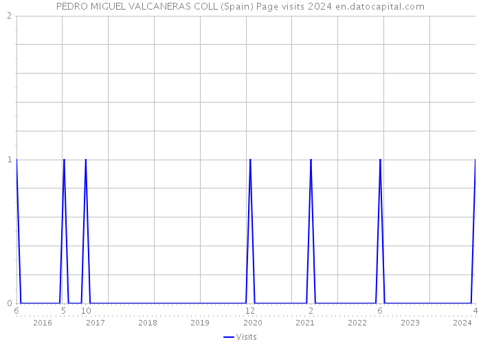 PEDRO MIGUEL VALCANERAS COLL (Spain) Page visits 2024 