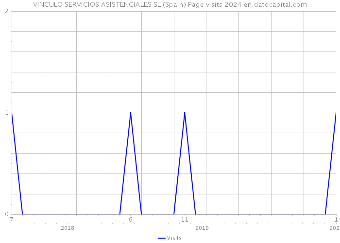 VINCULO SERVICIOS ASISTENCIALES SL (Spain) Page visits 2024 