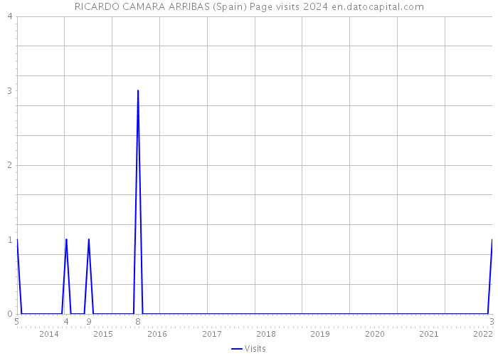 RICARDO CAMARA ARRIBAS (Spain) Page visits 2024 