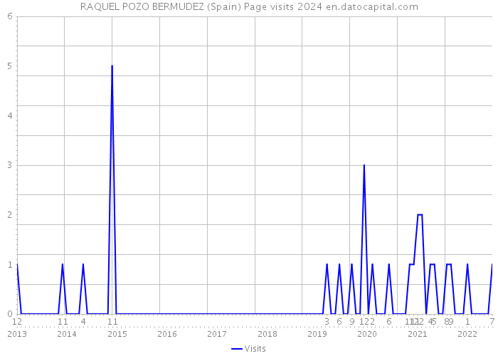 RAQUEL POZO BERMUDEZ (Spain) Page visits 2024 
