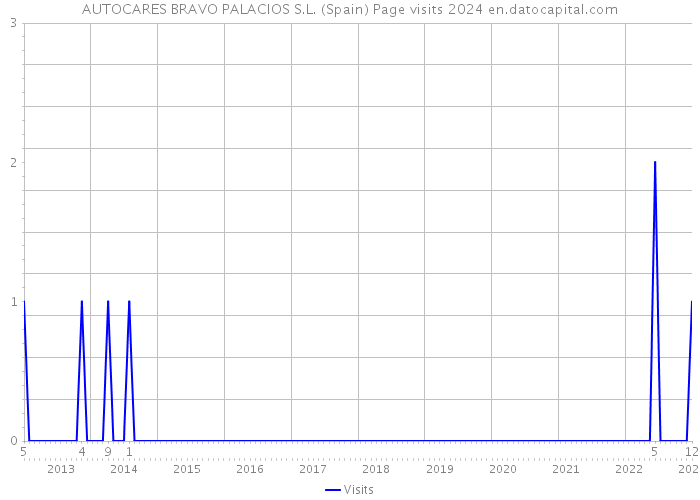AUTOCARES BRAVO PALACIOS S.L. (Spain) Page visits 2024 