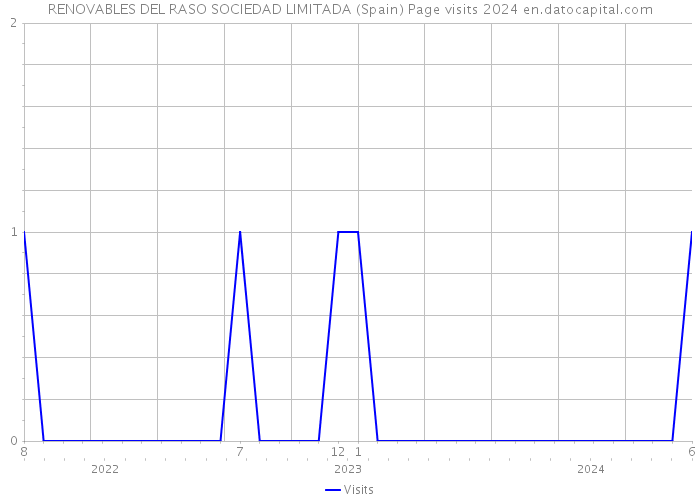 RENOVABLES DEL RASO SOCIEDAD LIMITADA (Spain) Page visits 2024 