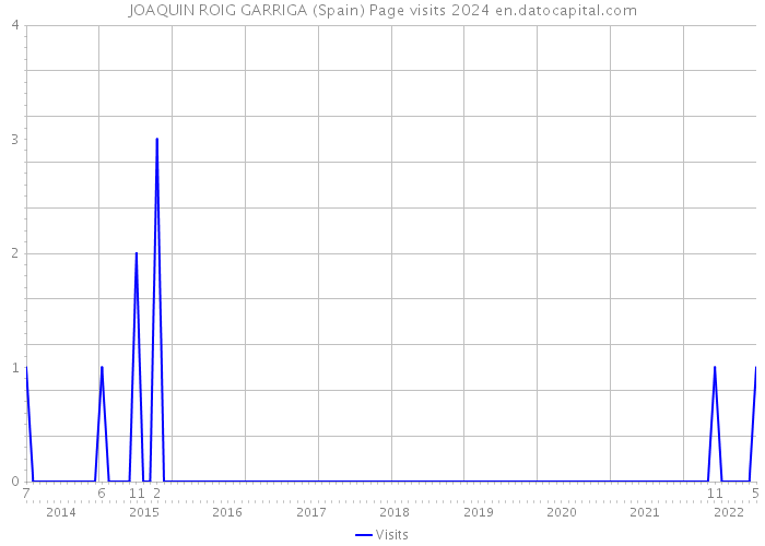 JOAQUIN ROIG GARRIGA (Spain) Page visits 2024 