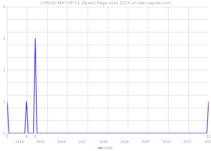 CORUJO MAYOR S.L (Spain) Page visits 2024 