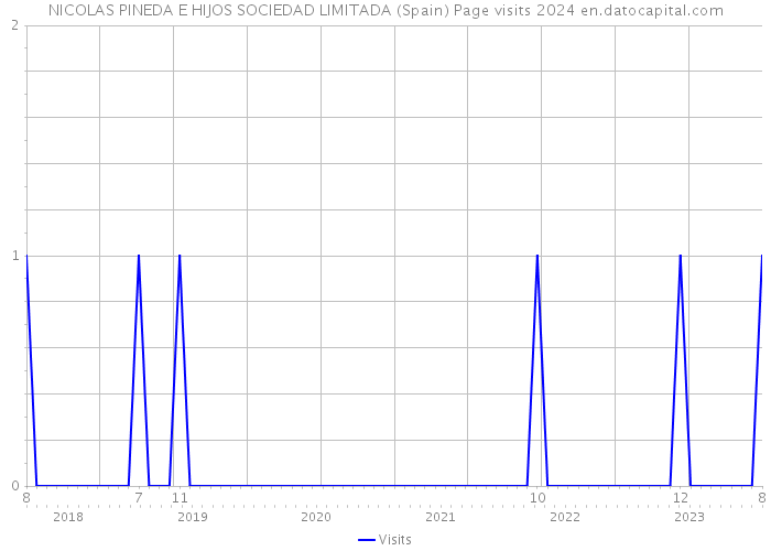 NICOLAS PINEDA E HIJOS SOCIEDAD LIMITADA (Spain) Page visits 2024 