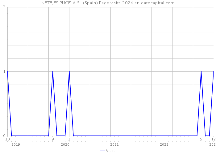 NETEJES PUCELA SL (Spain) Page visits 2024 