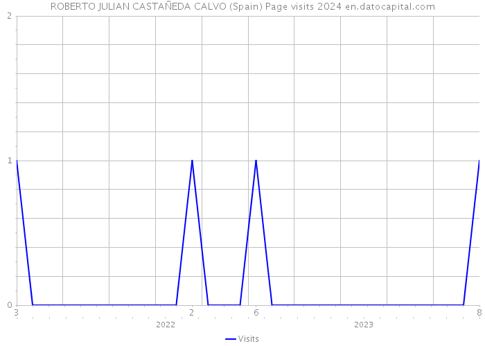 ROBERTO JULIAN CASTAÑEDA CALVO (Spain) Page visits 2024 