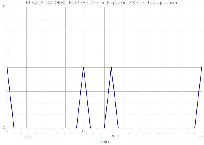 F1 CATALIZADORES TENERIFE SL (Spain) Page visits 2024 