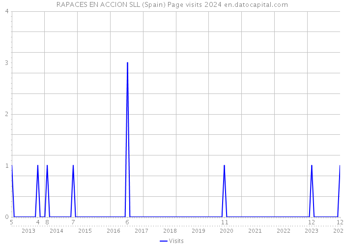 RAPACES EN ACCION SLL (Spain) Page visits 2024 
