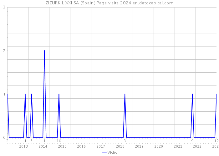 ZIZURKIL XXI SA (Spain) Page visits 2024 