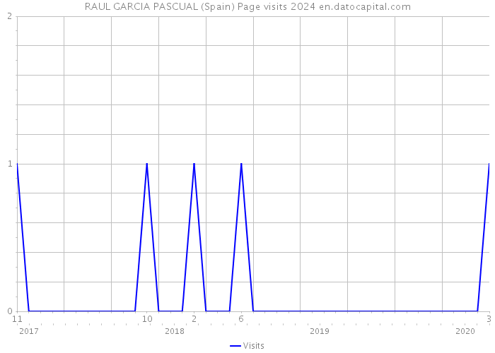 RAUL GARCIA PASCUAL (Spain) Page visits 2024 