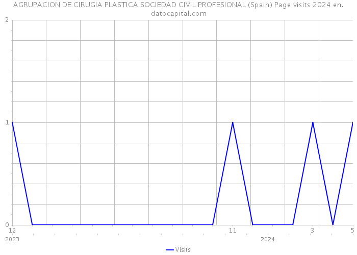 AGRUPACION DE CIRUGIA PLASTICA SOCIEDAD CIVIL PROFESIONAL (Spain) Page visits 2024 