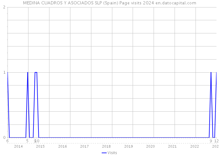 MEDINA CUADROS Y ASOCIADOS SLP (Spain) Page visits 2024 