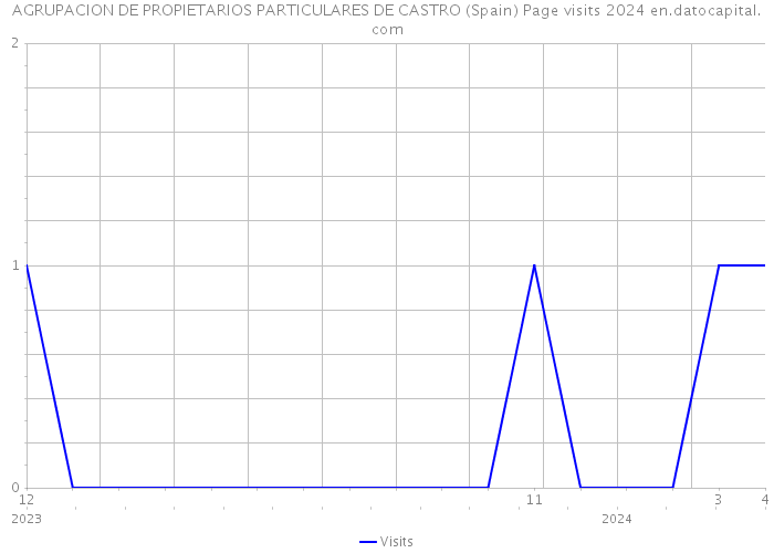 AGRUPACION DE PROPIETARIOS PARTICULARES DE CASTRO (Spain) Page visits 2024 