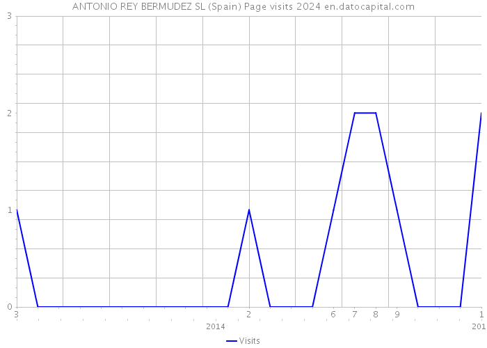 ANTONIO REY BERMUDEZ SL (Spain) Page visits 2024 