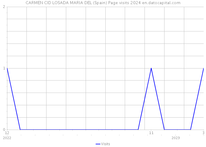 CARMEN CID LOSADA MARIA DEL (Spain) Page visits 2024 