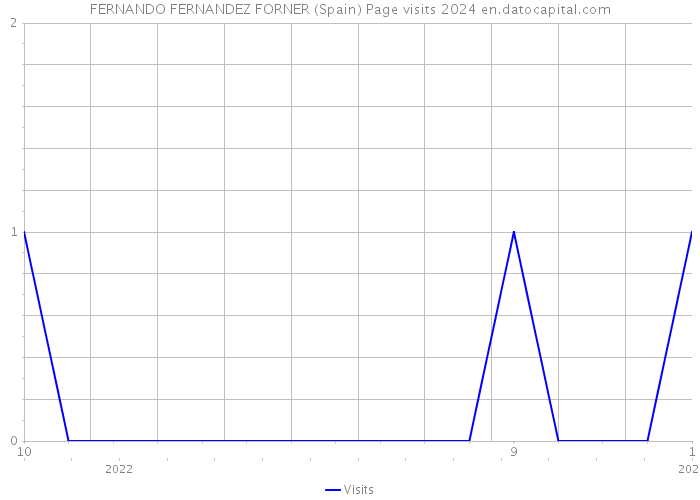 FERNANDO FERNANDEZ FORNER (Spain) Page visits 2024 