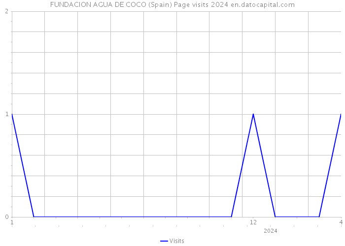 FUNDACION AGUA DE COCO (Spain) Page visits 2024 