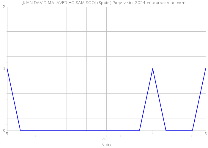 JUAN DAVID MALAVER HO SAM SOOI (Spain) Page visits 2024 