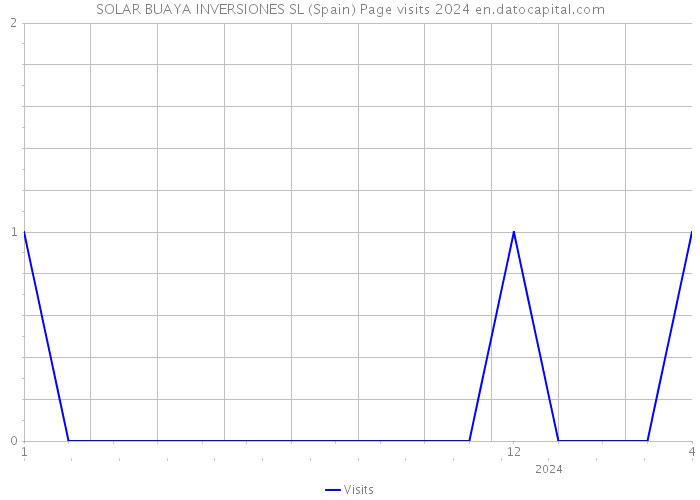 SOLAR BUAYA INVERSIONES SL (Spain) Page visits 2024 