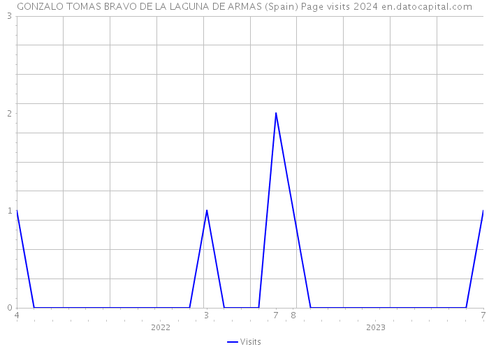 GONZALO TOMAS BRAVO DE LA LAGUNA DE ARMAS (Spain) Page visits 2024 