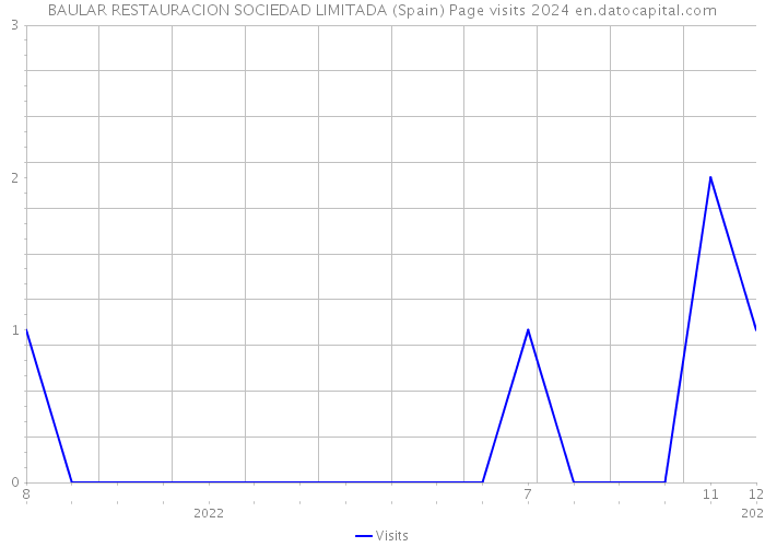 BAULAR RESTAURACION SOCIEDAD LIMITADA (Spain) Page visits 2024 