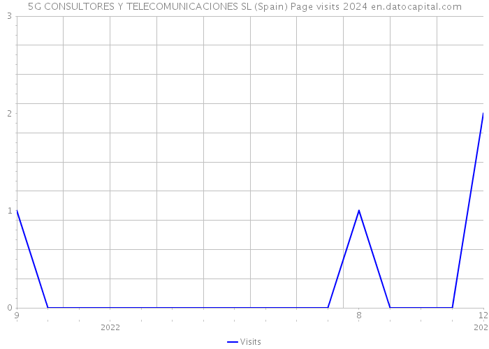 5G CONSULTORES Y TELECOMUNICACIONES SL (Spain) Page visits 2024 