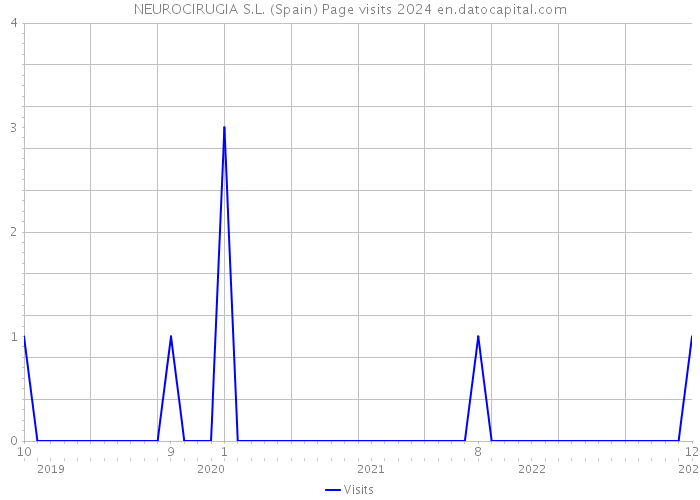 NEUROCIRUGIA S.L. (Spain) Page visits 2024 