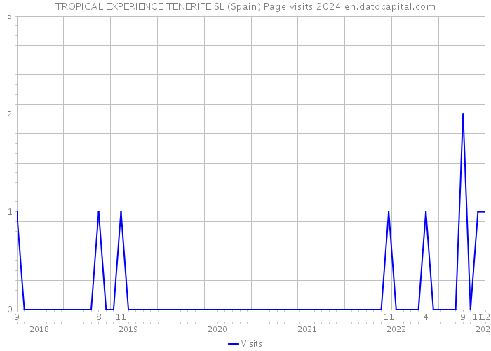 TROPICAL EXPERIENCE TENERIFE SL (Spain) Page visits 2024 