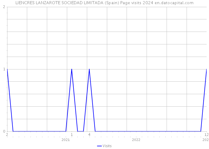 LIENCRES LANZAROTE SOCIEDAD LIMITADA (Spain) Page visits 2024 