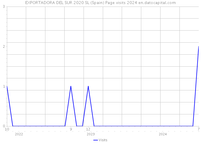 EXPORTADORA DEL SUR 2020 SL (Spain) Page visits 2024 