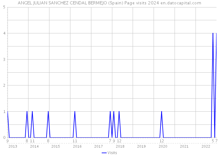 ANGEL JULIAN SANCHEZ CENDAL BERMEJO (Spain) Page visits 2024 