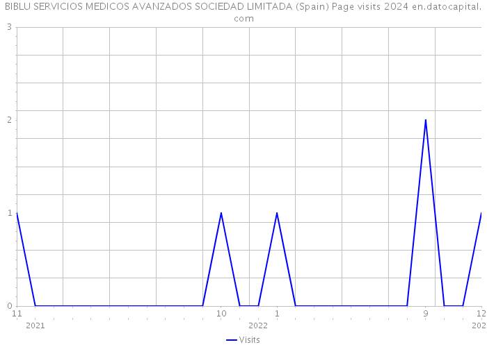 BIBLU SERVICIOS MEDICOS AVANZADOS SOCIEDAD LIMITADA (Spain) Page visits 2024 