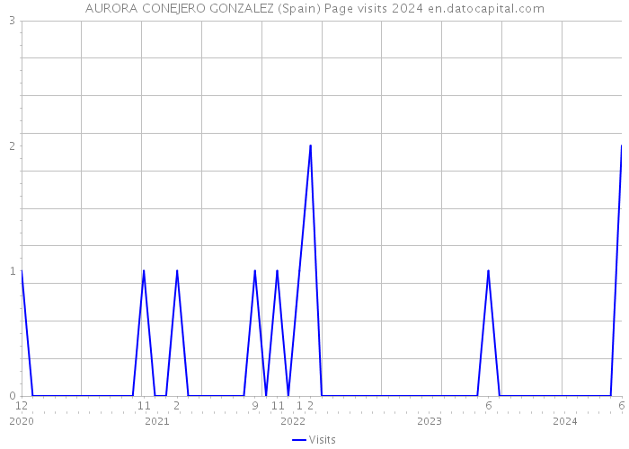 AURORA CONEJERO GONZALEZ (Spain) Page visits 2024 