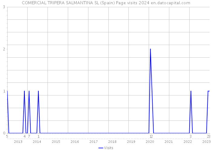 COMERCIAL TRIPERA SALMANTINA SL (Spain) Page visits 2024 
