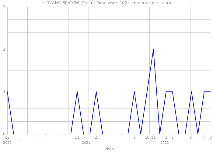 NIRVANO BRICCHI (Spain) Page visits 2024 