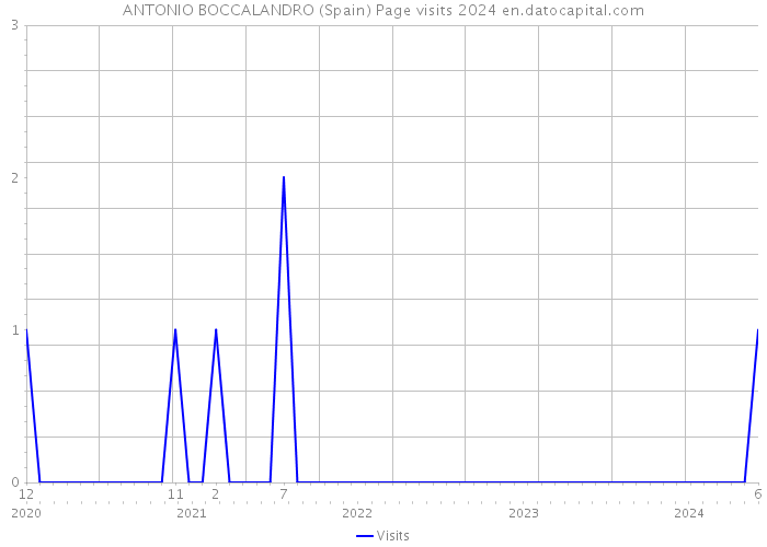 ANTONIO BOCCALANDRO (Spain) Page visits 2024 