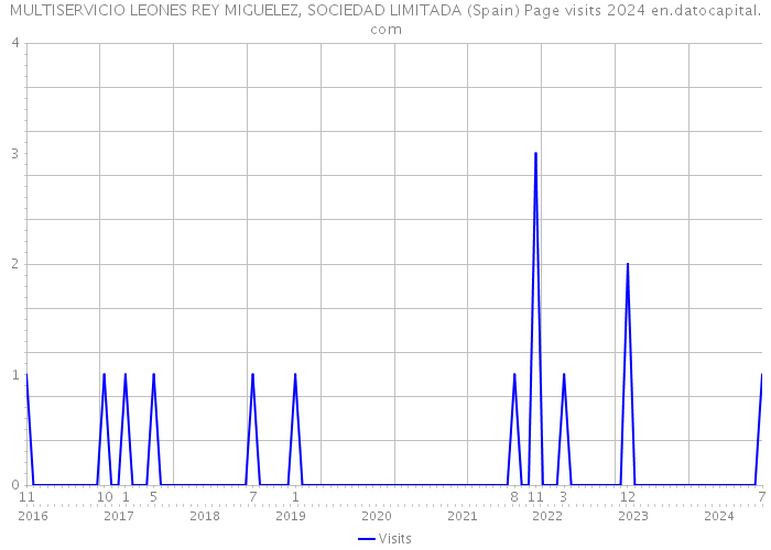 MULTISERVICIO LEONES REY MIGUELEZ, SOCIEDAD LIMITADA (Spain) Page visits 2024 