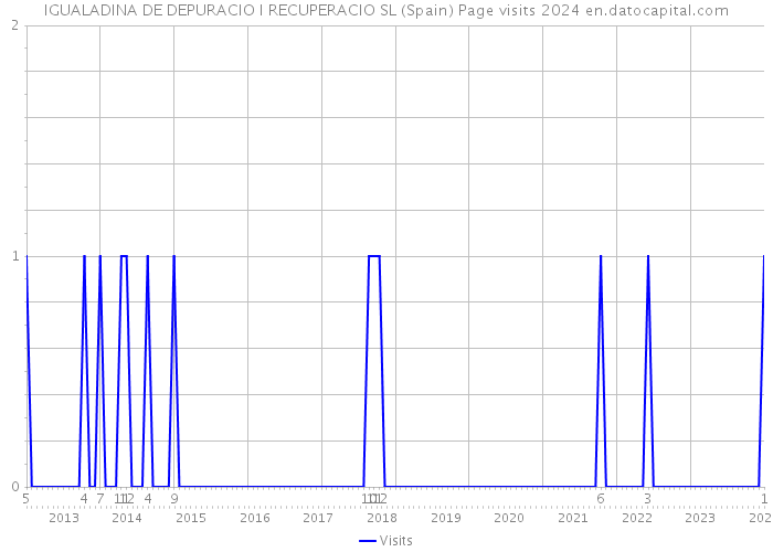 IGUALADINA DE DEPURACIO I RECUPERACIO SL (Spain) Page visits 2024 