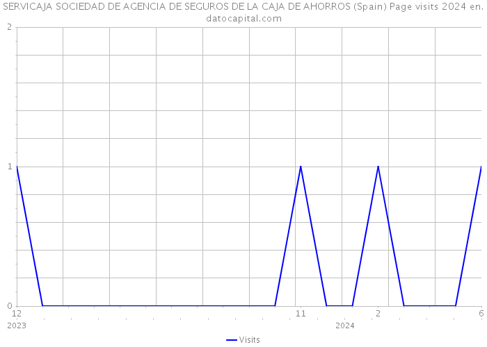 SERVICAJA SOCIEDAD DE AGENCIA DE SEGUROS DE LA CAJA DE AHORROS (Spain) Page visits 2024 
