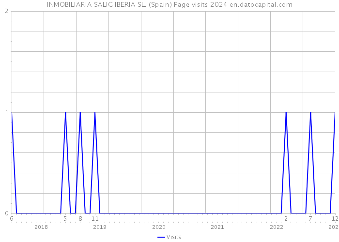 INMOBILIARIA SALIG IBERIA SL. (Spain) Page visits 2024 