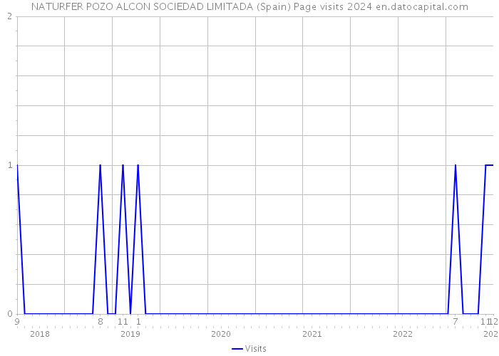 NATURFER POZO ALCON SOCIEDAD LIMITADA (Spain) Page visits 2024 