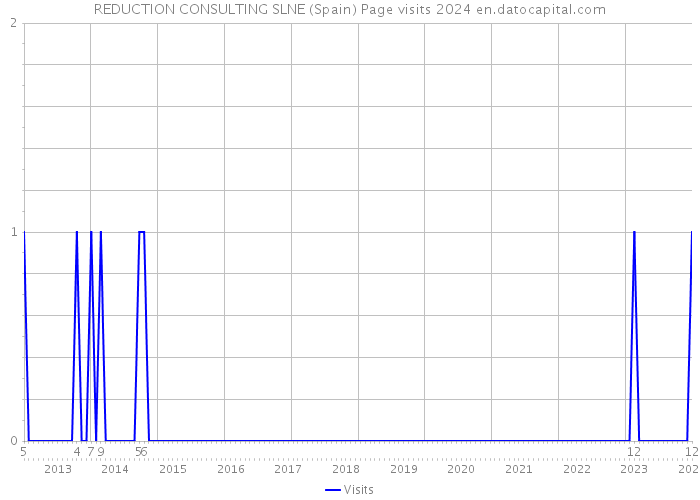 REDUCTION CONSULTING SLNE (Spain) Page visits 2024 