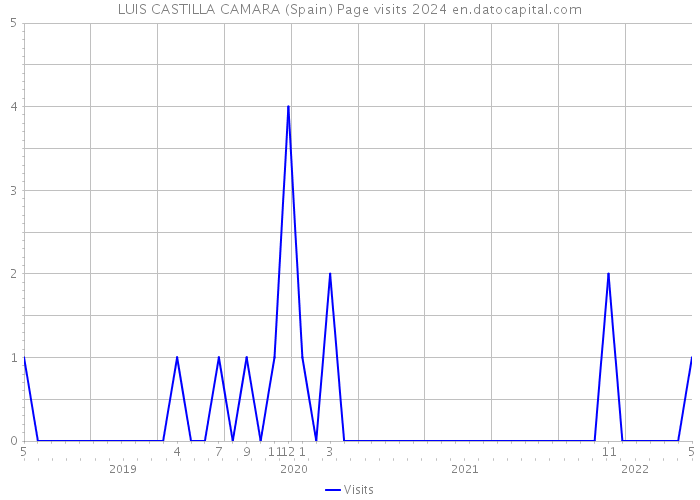 LUIS CASTILLA CAMARA (Spain) Page visits 2024 