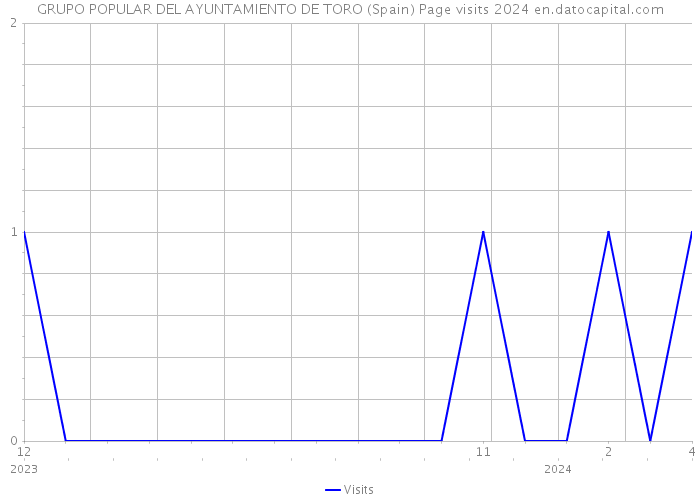 GRUPO POPULAR DEL AYUNTAMIENTO DE TORO (Spain) Page visits 2024 
