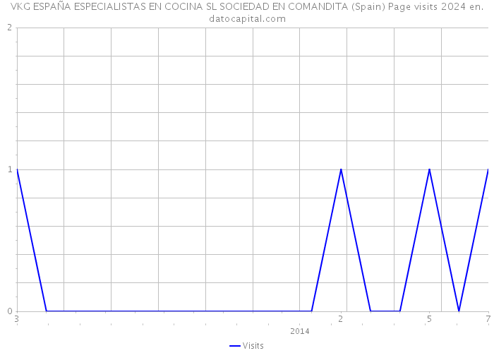 VKG ESPAÑA ESPECIALISTAS EN COCINA SL SOCIEDAD EN COMANDITA (Spain) Page visits 2024 
