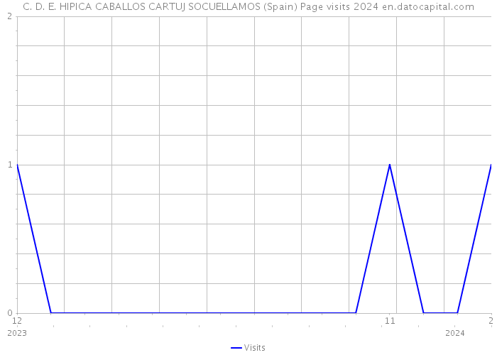 C. D. E. HIPICA CABALLOS CARTUJ SOCUELLAMOS (Spain) Page visits 2024 