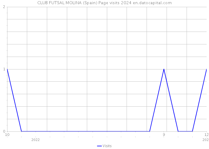 CLUB FUTSAL MOLINA (Spain) Page visits 2024 