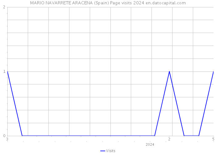 MARIO NAVARRETE ARACENA (Spain) Page visits 2024 