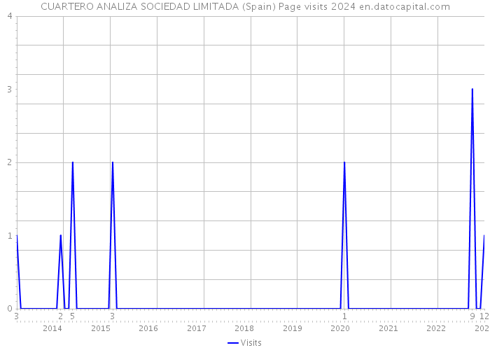 CUARTERO ANALIZA SOCIEDAD LIMITADA (Spain) Page visits 2024 